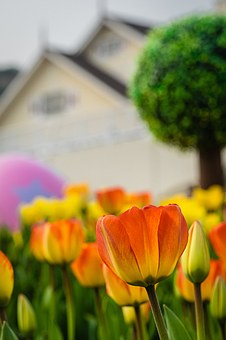 BC Home Insurance Overview