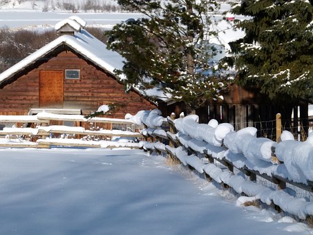 Home Insurance