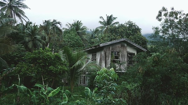 Travel Insurance - Bringing You House