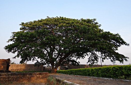 India Tours - Featured Attractions Of North India