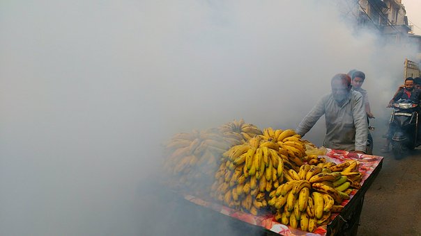 Special Shimla Holiday Packages