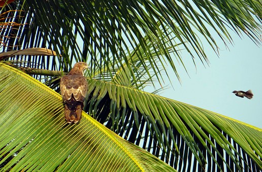 Date With Temptation Of Rajasthan Tours