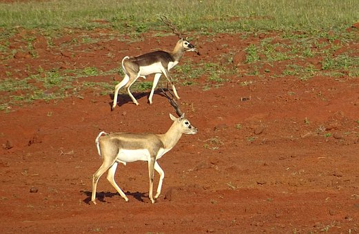 What to do on Holiday in Kenya