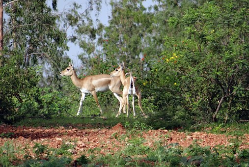 Honeymoon Tour To Kerala Top 3 Destinations To Visit