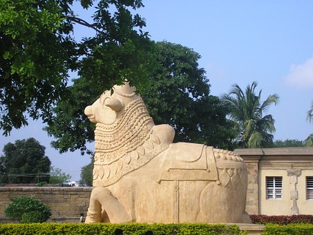 Top Astounding Jewels and Attractions of Srilanka Tour