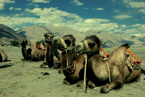 Golden Triangle Tour with Artificial Lake Of Rajasthan