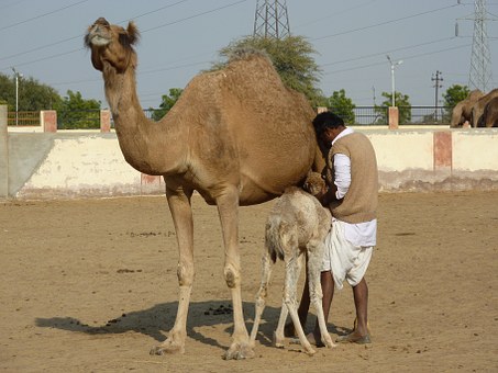 Get a Great Experience with Make Trip India