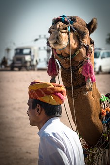 Wildlife Sanctuaries In India Enjoy Traveling In Wilderness
