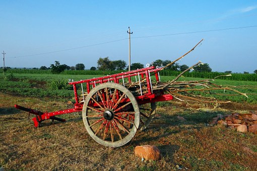 Jim Corbett National Park Weekend Tour