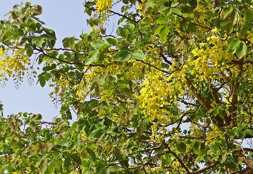 South India Hill Station Tour- Enjoy a Relaxing Holiday in the Lap of Nature