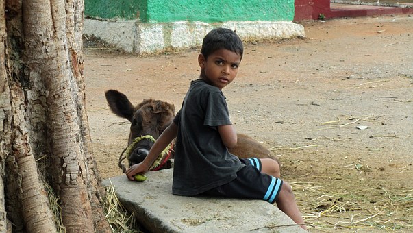 Makar Sankranti Festival 2011