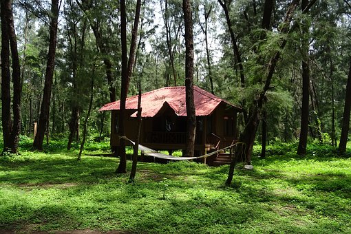 North India Tour Packages Explore The Grandeur Of North India