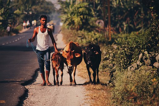 India Travel: Get a Great Experience during the Journey to India