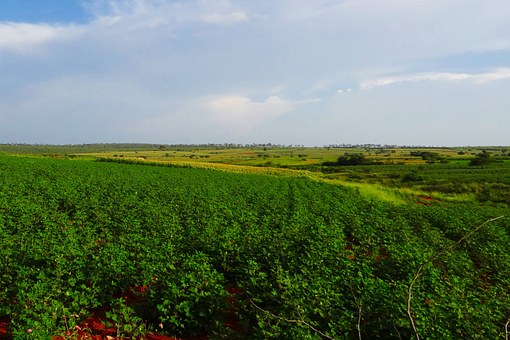 Unbelievable India- A Cherished And Enchanting Destination