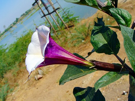 India Tour Packagesexplore India Tourist Attractions