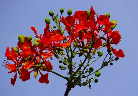 Useful Tips for Traveling In Rajasthan Safely and Happily