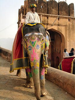 How To Travel - Amritsar To Chandigarh