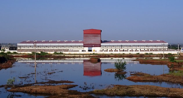 Attractions That Cannot Be Missed On Tour To Kerala