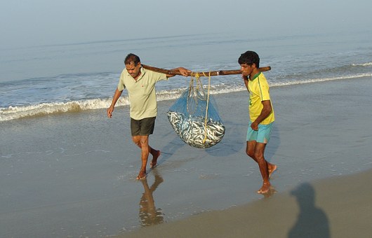 How To Travel Trichy To Chennai