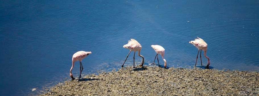 Explore North India with Golden Triangle Tour!