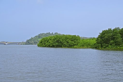 Top 10 Honeymoon Destinations in India that All Newlyweds Should Know