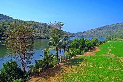Travel to Sri Lanka – Get Inspired by the Pearl Of Indian Ocean