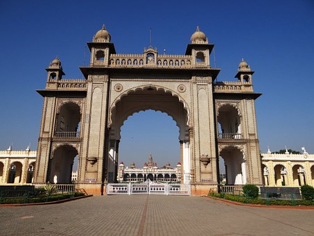Wildlife Tour: Make Your Dream True by Exploring India