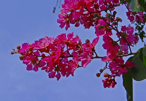 Kerala Beach Vacations - Vacation in God's Own Country by:Joseph Moore