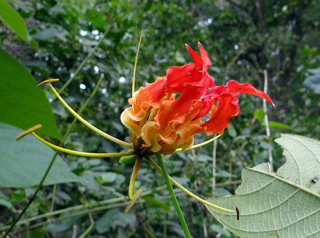 Kerala Tours for Memorable Holidays in India