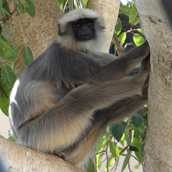 Top Rated Tourist Attractions in Srilanka