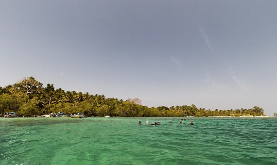 The Professional's Absolute Information For Passengers Desiring To Tour On The Caribbean Voyage