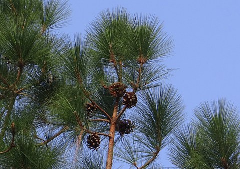 Five Low Cost Orlando Summer Destinations
