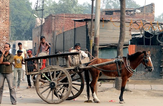 India Tours: - A Private And Luxury Tour To India