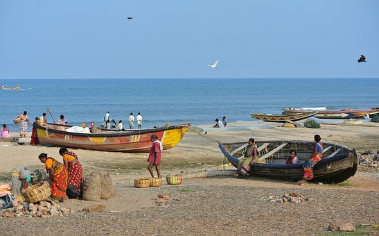 Fast Expanding Wildlife Tourism in India