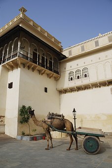 India Holiday Packages To Get Memorable Holidays Experience