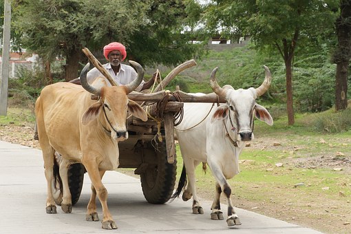 Tour in North India to Explore Its Popular Attractions