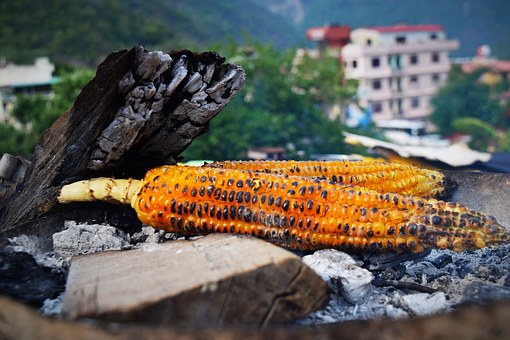 Nainital Hotels Conduct A Nice Living Business