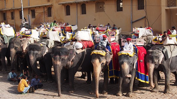 Tiruchirapalli Travel Destination