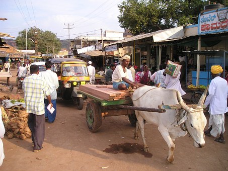 How To Choose Your India Travel Agent & Tour Operator