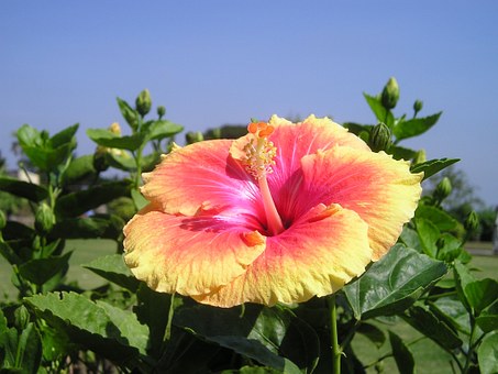 Low cost and more savings with the India tours