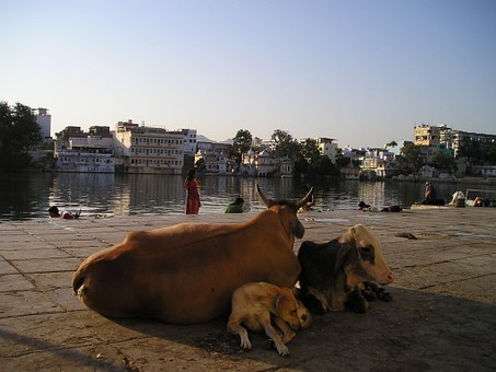 Don't Buy Bangalore Plane Travel Before Checking Out How To Make Use Of This Information On How To L