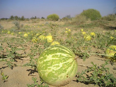 Golden Triangle Rajasthan Tour