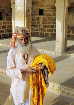 Discover The Grandeur Of Kerala Backwaters With Professional Tour Operators