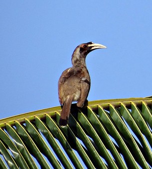 Wildlife tours India: wildlife sanctuaries in North India
