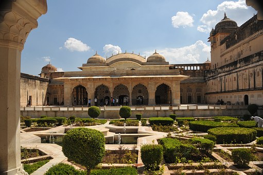 Trip to Amazing Wild Rajasthan