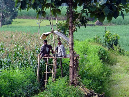 Kerala Tourism: Eravikulam National Park Tour