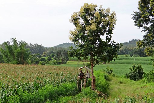 Travel and Tourism in India: Ascertaining Aspects for Future Growth