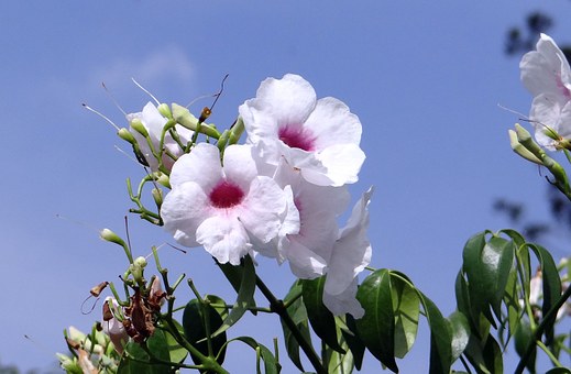 Locate Wonderful Discounts In Scottsdale, Arizona: Lodging, Take Out, Enjoyment And Night Tour