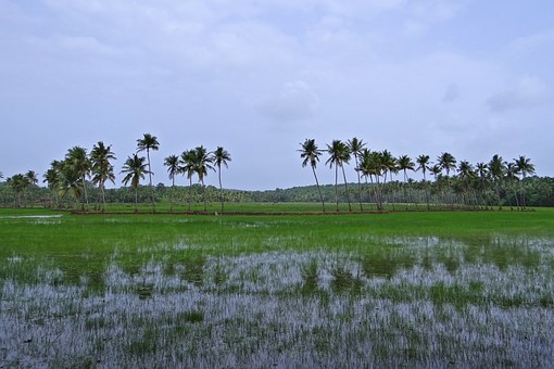 Holidays In India: One Country, Different Themes
