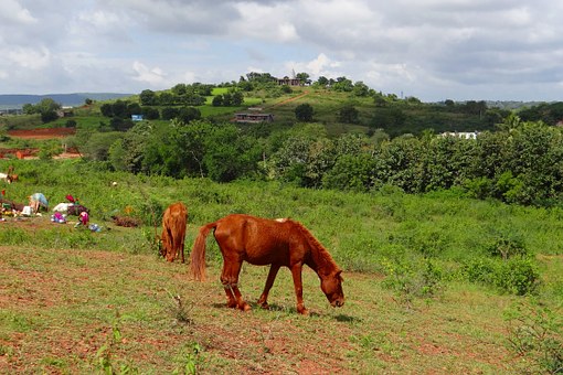 Top Places to Visit Around Bangalore - Weekend Getaway and Day-trip Holiday Spots